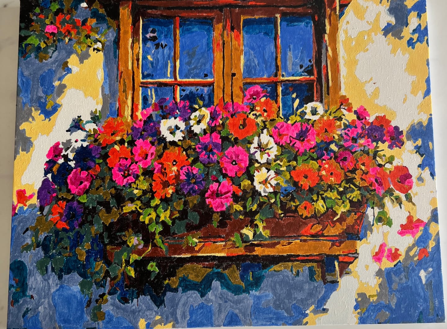 Customer photo review of Sunlit Window Blooms