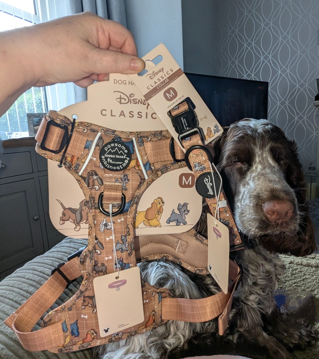 Customer photo review of Disney© Tough Trails™ Harness - Disney Dogs
