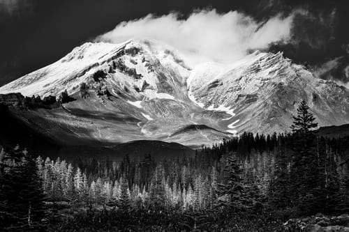 Customer photo review of 12x18 Giclee Fine Art Prints