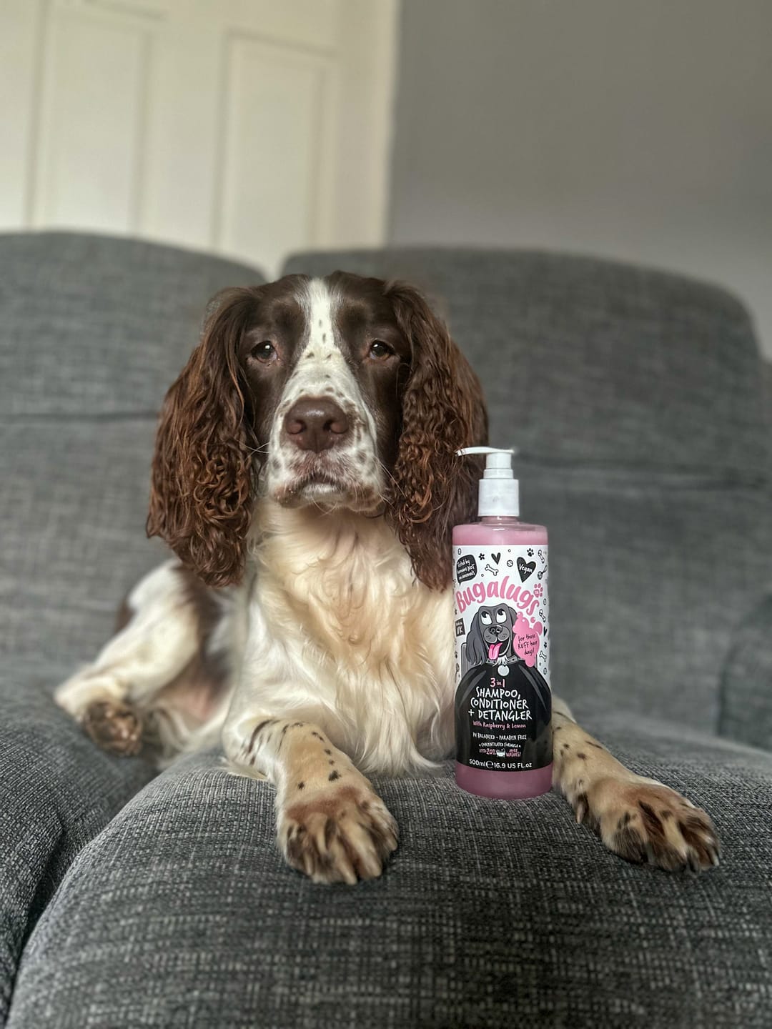 Customer photo review of 3 in 1 Raspberry & Lemon Dog Shampoo, Conditioner & Detangler