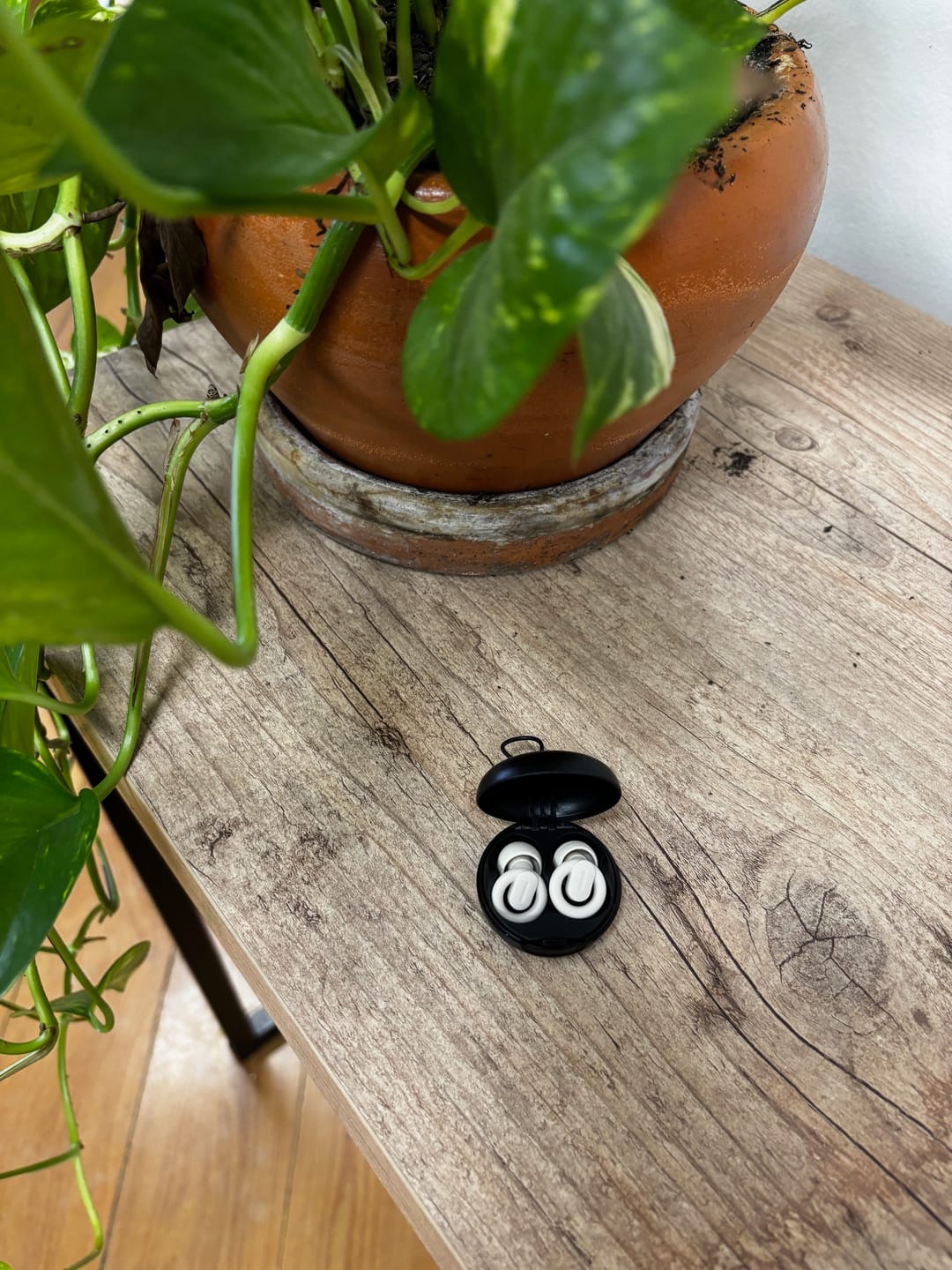Customer photo review of Protetor Auricular Kalm