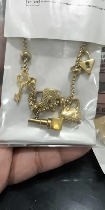 Customer photo review of Gold-Plated Stainless Steel Charm Bracelet — Gold-Tone | KIMLUD