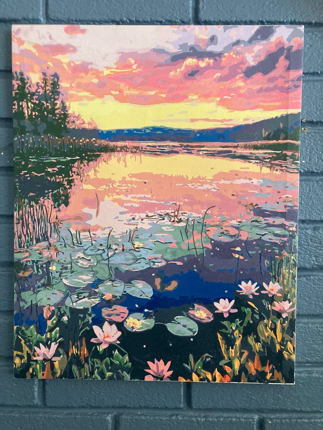 Customer photo review of Lily Sunset