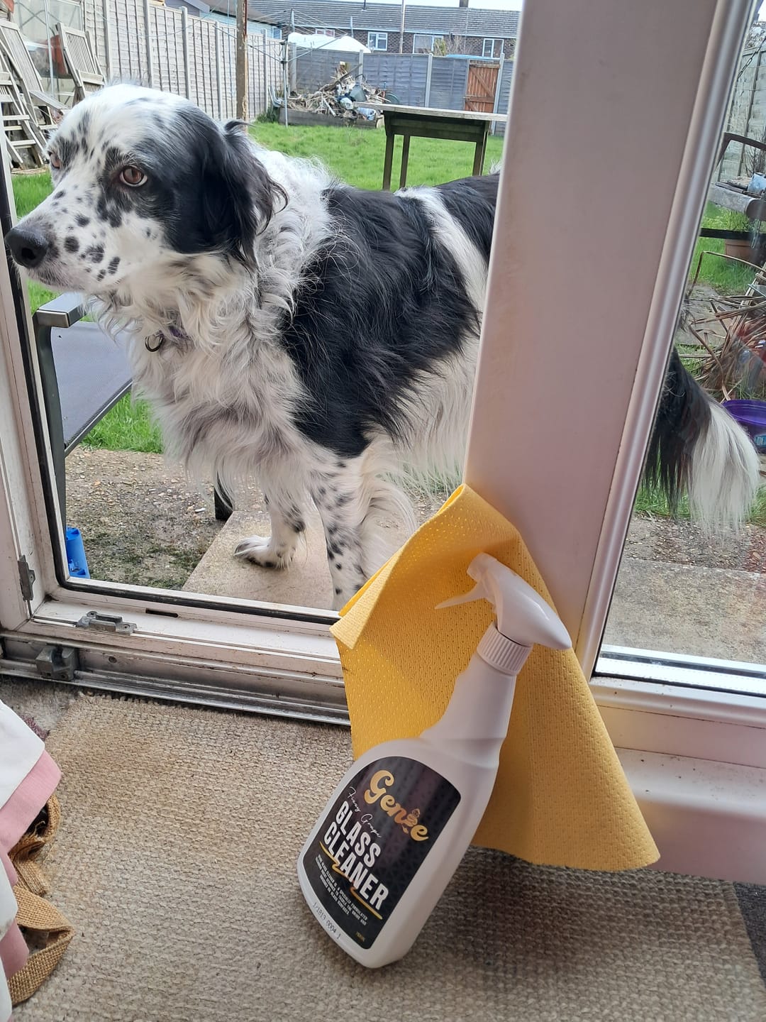 Customer photo review of Shower and Glass Cleaner