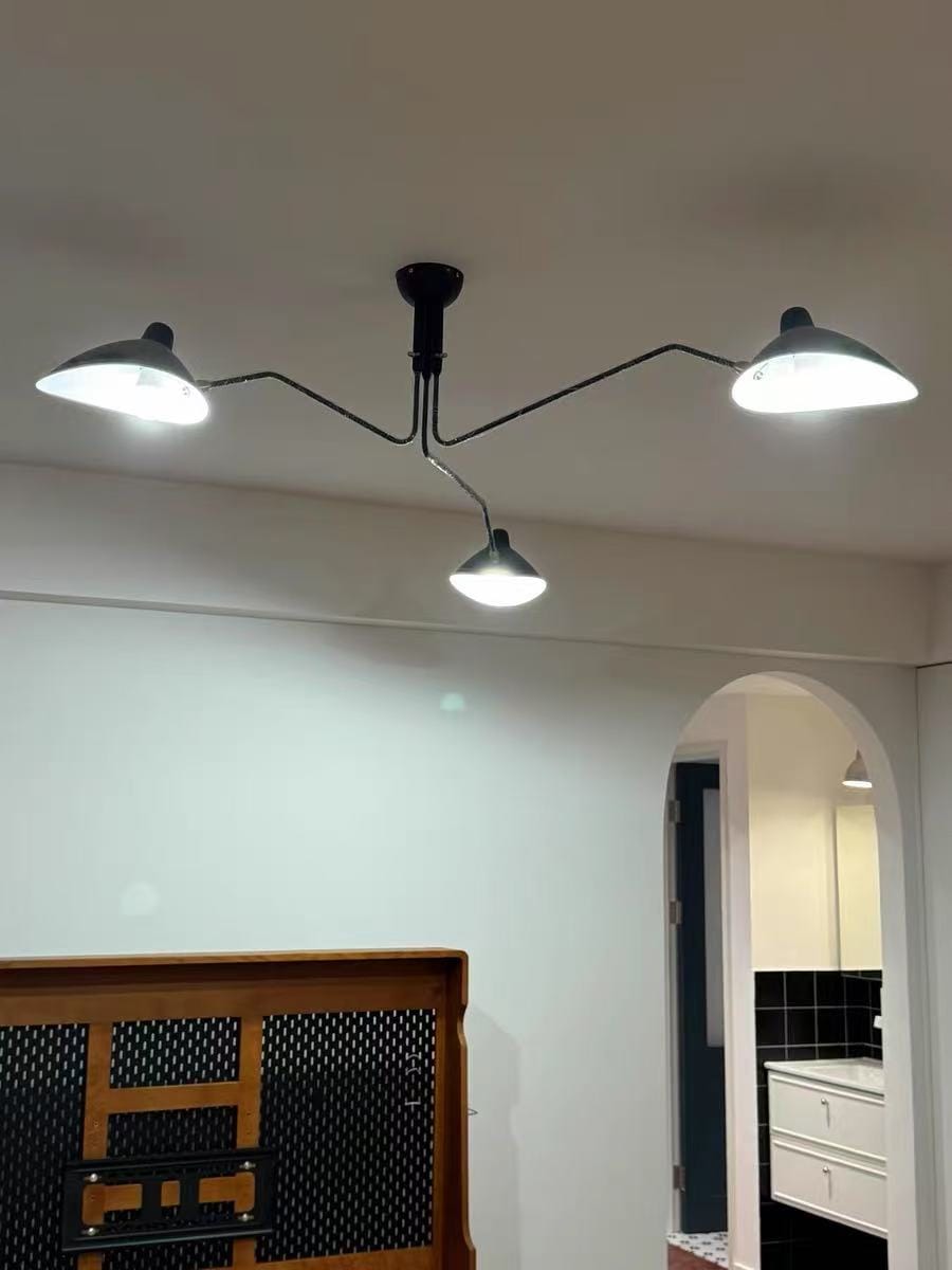 Customer photo review of WOMO Arms Semi-Flush Mount Light-WM2057