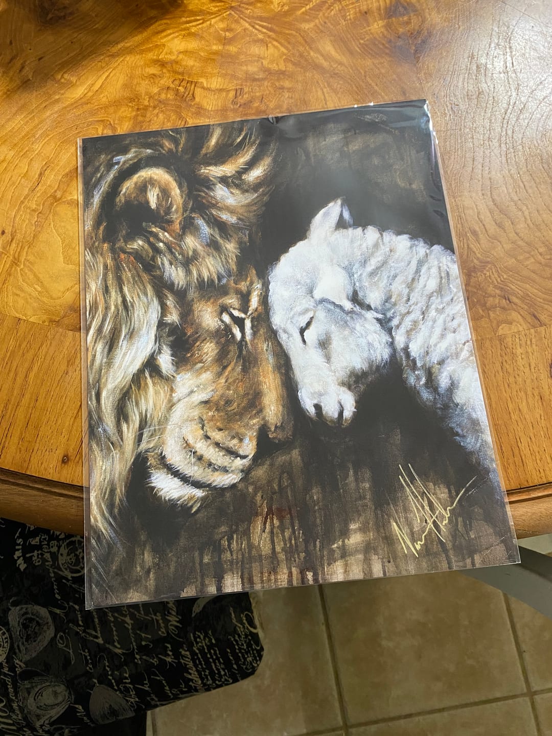 Customer photo review of Compassion of a King