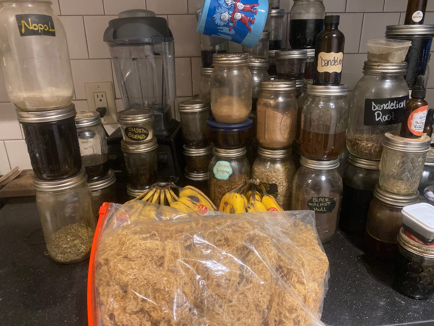Customer photo review of $20 sea moss!!! Sea Moss from the rocks- Gold- Dr Sebi approved