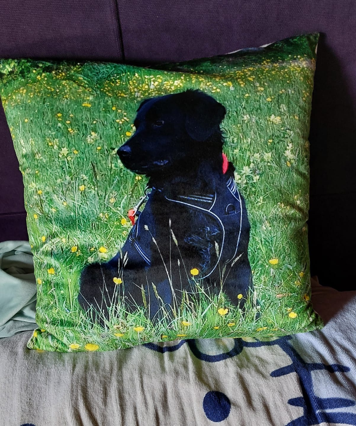 Customer photo review of Fotokissen - Individuelles Kissen