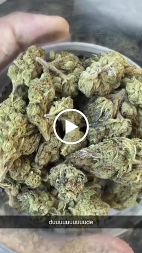 Customer video review of Gorilla Glue - 4 Grams - Indica