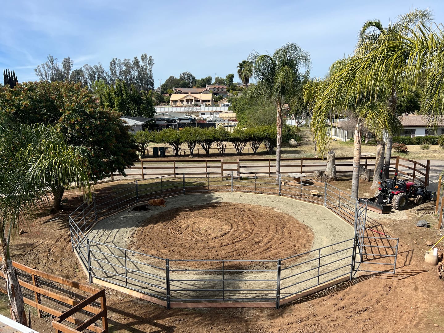 Customer photo review of 40ft Round Pen (5-Rail) 14-Gauge Steel