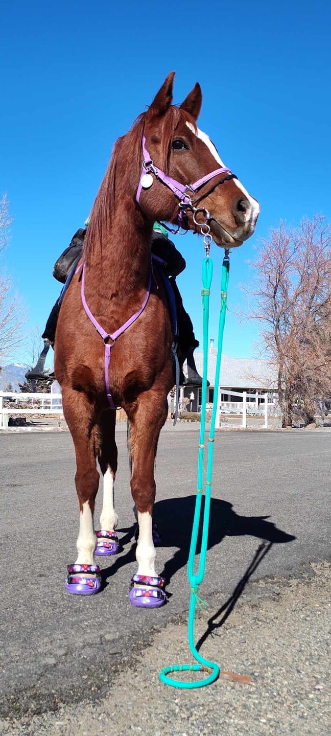 Customer photo review of Renegade® Viper™ Mystic Purple
