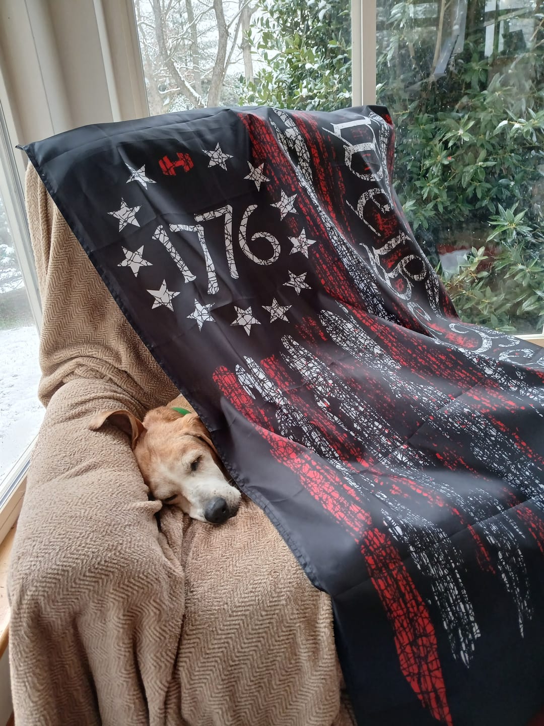 Customer photo review of We The People 1776 Flag