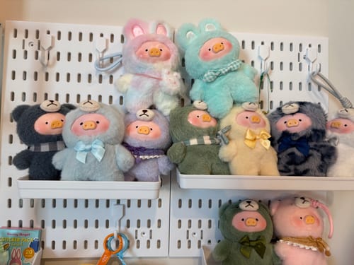 Customer photo review of LuLu The Piggy Joyful Time Series Plush Blind Box