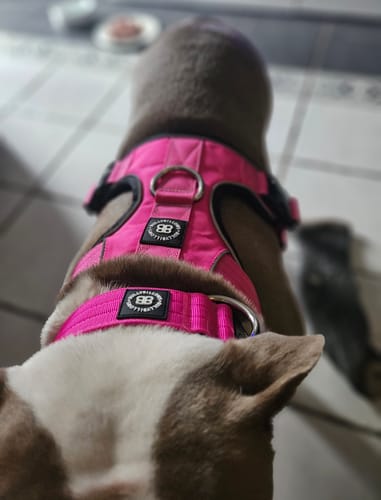 Customer photo review of Comfort Premium Harness | Non Restrictive - Magenta