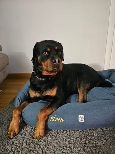 Customer photo review of Divanetto Mattias Bluette (Soft Touch)