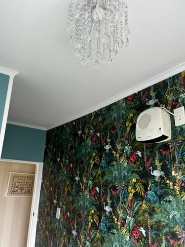 Customer photo review of Masoala - Tropical Wallpaper With Cranes - Black