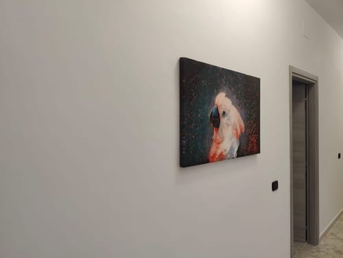 Customer photo review of Warm rain - Stretched Canvas, Poster or Fine Art Print