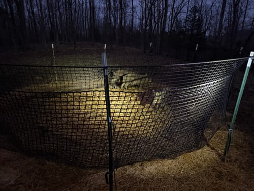 Customer photo review of Pig Brig Trap System