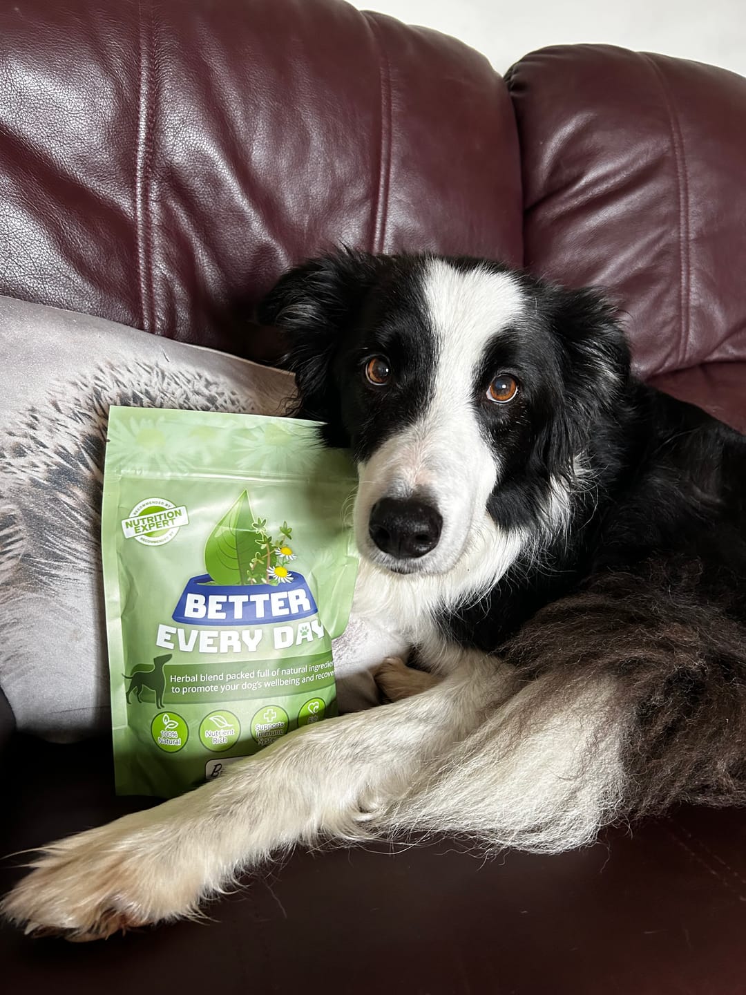 Customer photo review of Better Every Day