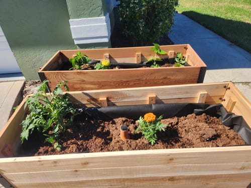 Customer photo review of 18" x 48" Raised Garden Bed