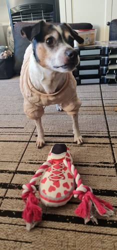 Customer photo review of Valentins Legetøj, Sko m. Reb, 22 cm.