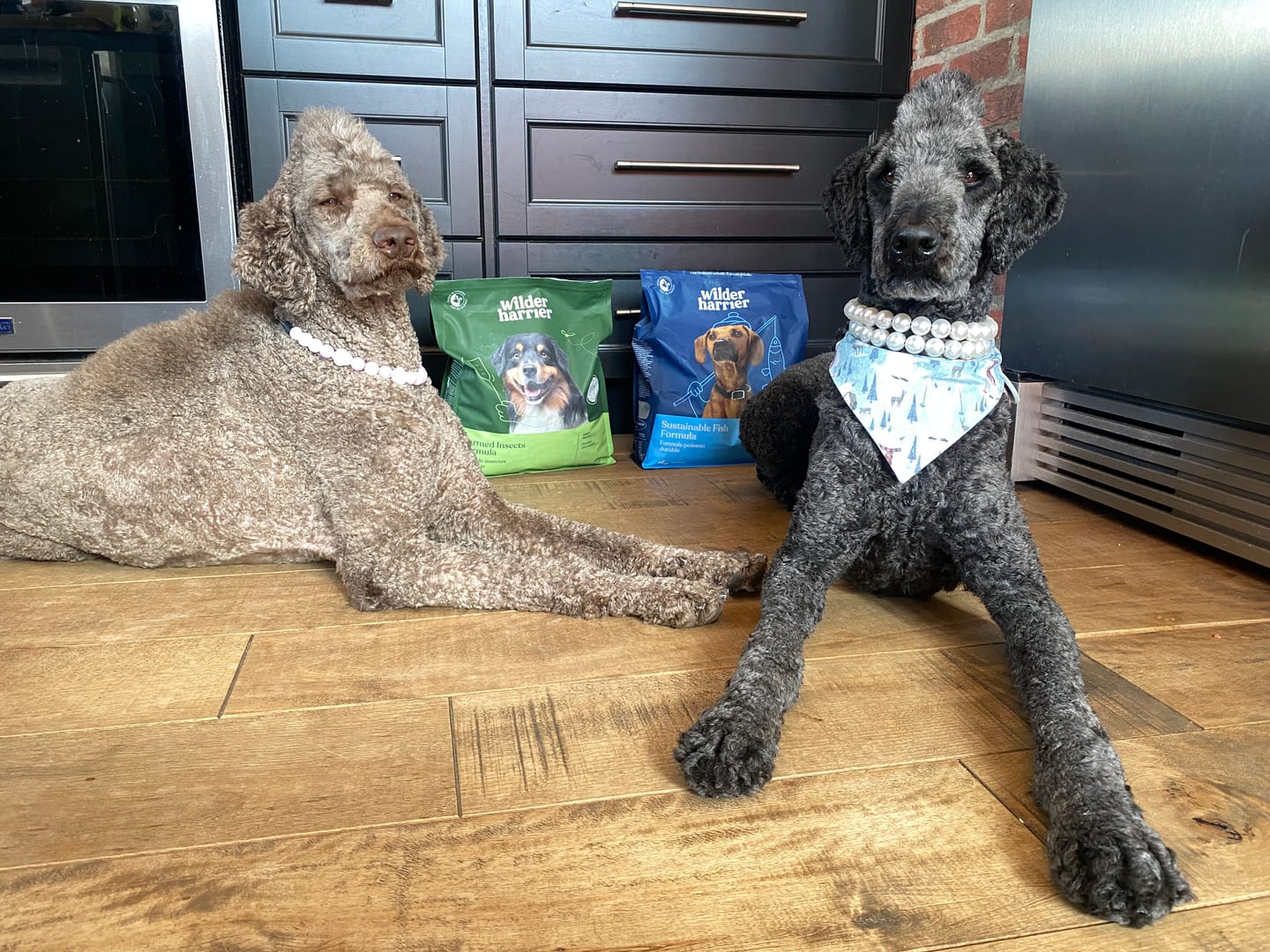 Customer photo review of Sustainable Fish formulas / Adult & Puppy