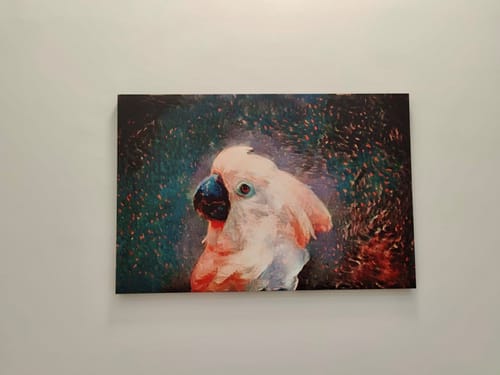 Customer photo review of Warm rain - Stretched Canvas, Poster or Fine Art Print