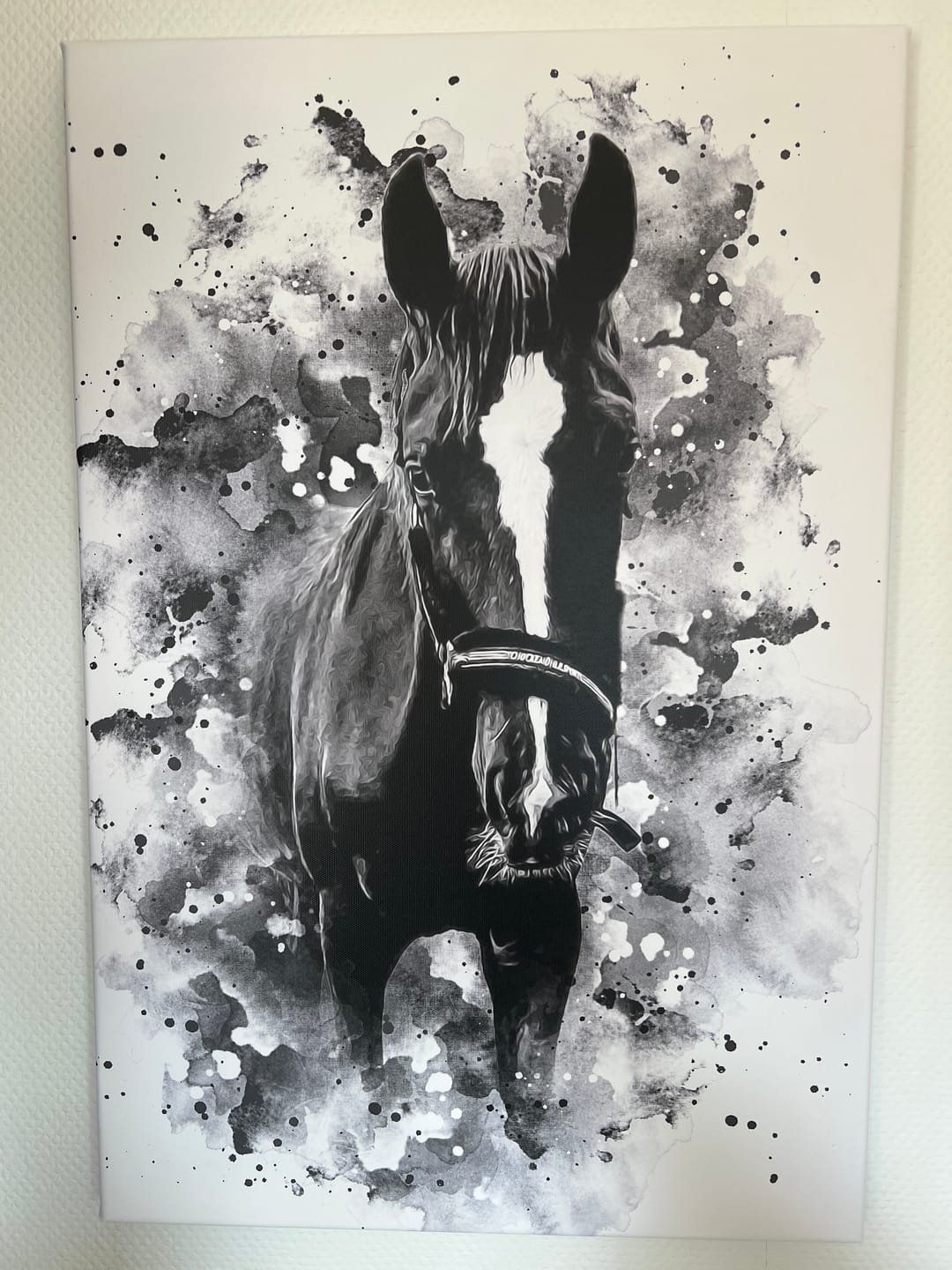 Customer photo review of Dein Pferd als Wasserfarben Portrait