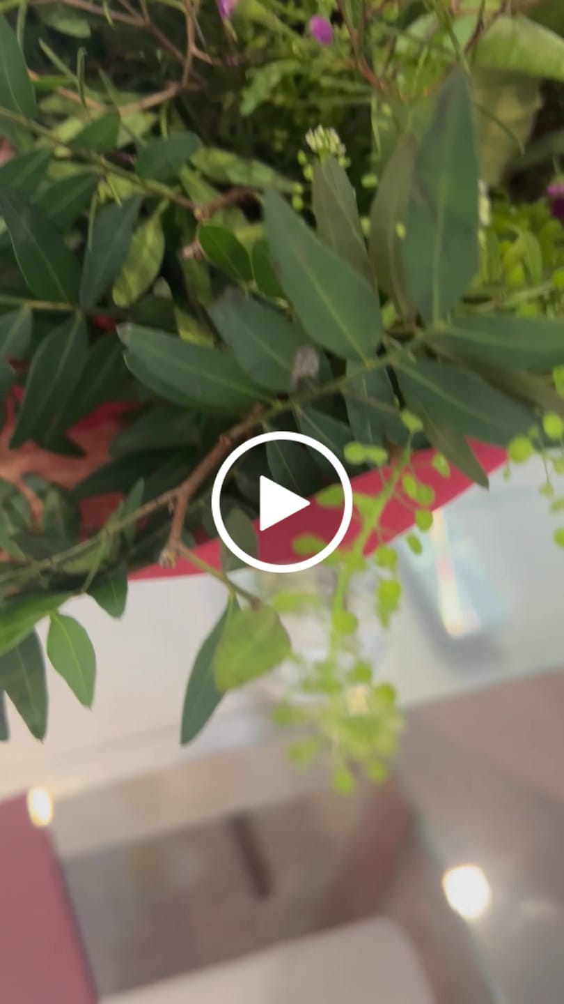 Customer video review of EONER