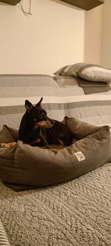 Customer photo review of Divanetto Mattias Antracite (Soft Touch)