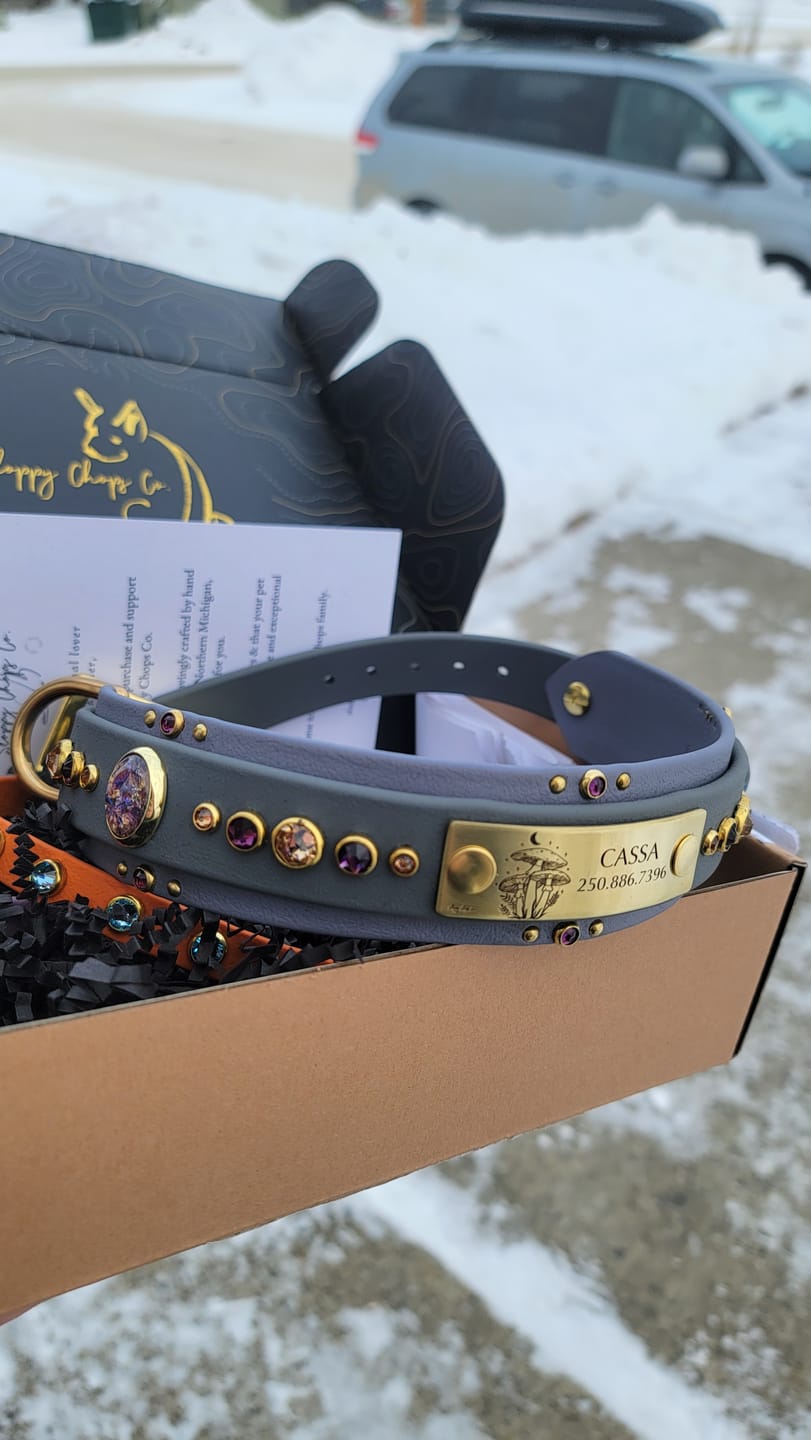Customer photo review of The 'Bodhi' Collar