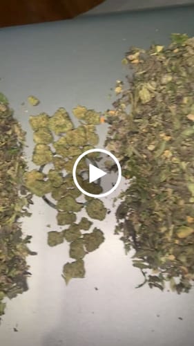 Customer video review of Exotic Shake