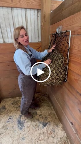 Customer video review of Hay Chix® Free Up Feeder