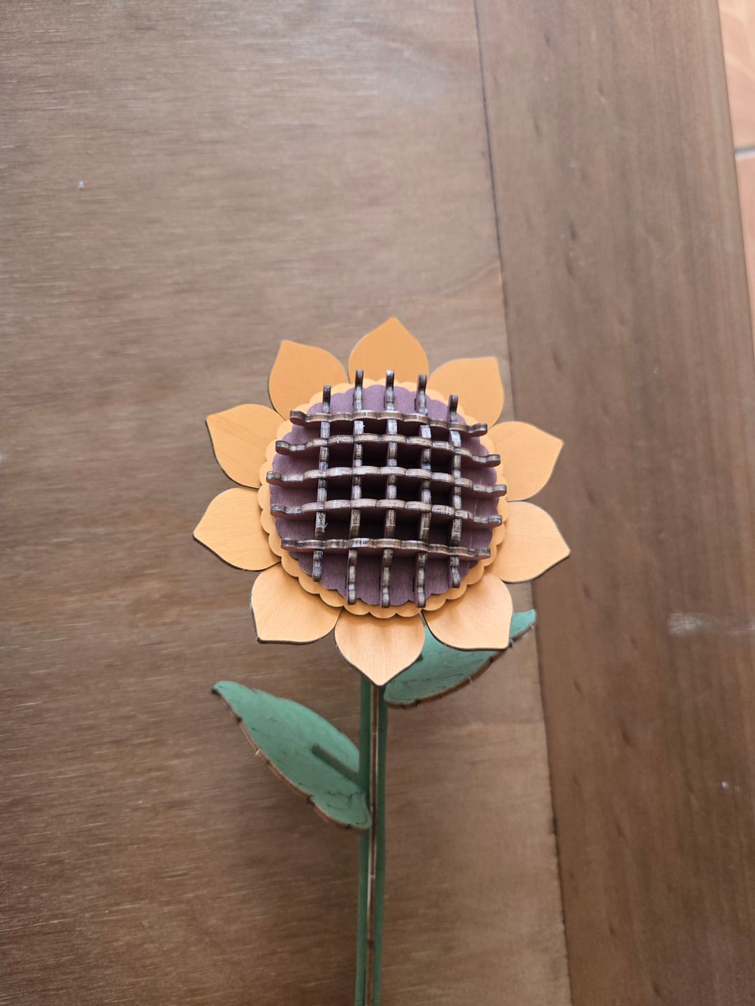 Customer photo review of Caja de Flores - Maqueta de Madera Robotime