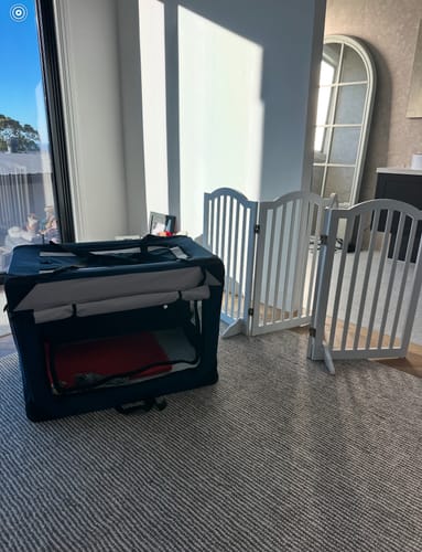 Customer photo review of Pawz Pet Carrier