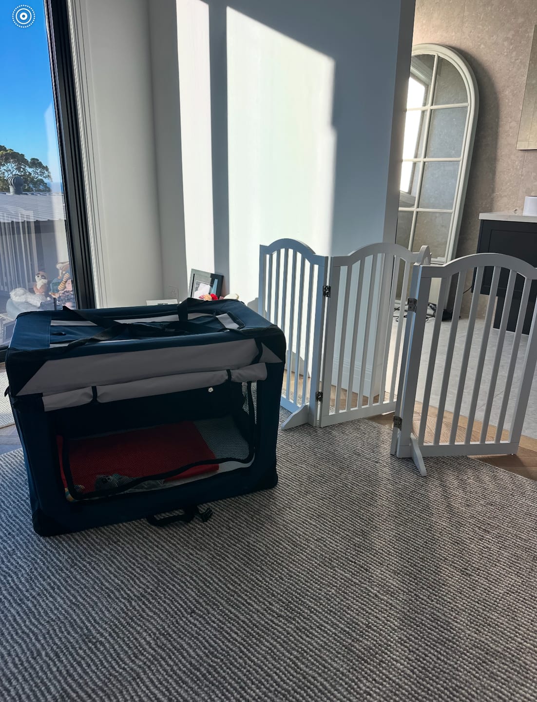 Customer photo review of Pawz Pet Carrier