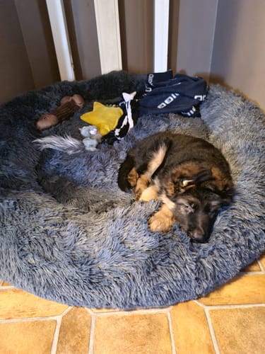 Customer photo review of CalmBed - Motverkar stress & hjälper mot ångest