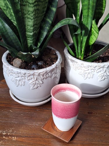 Customer photo review of Coral Pink Cup (Includes Lid & Band)