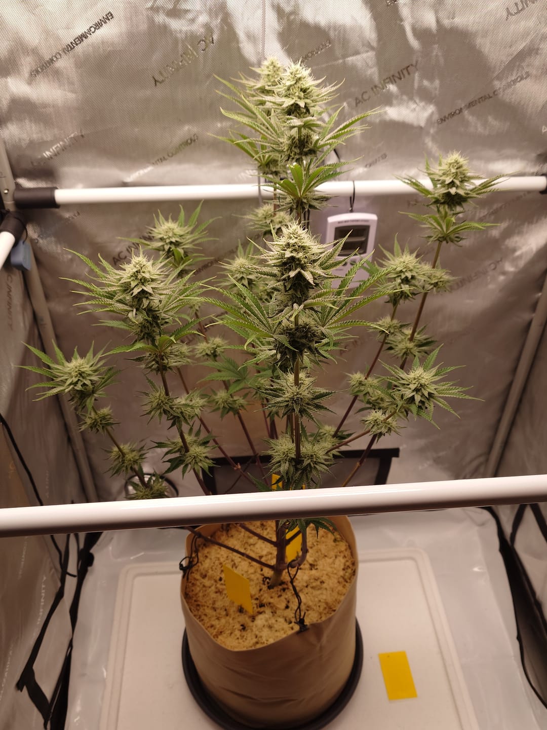 Customer photo review of Bio Hanferde 20L