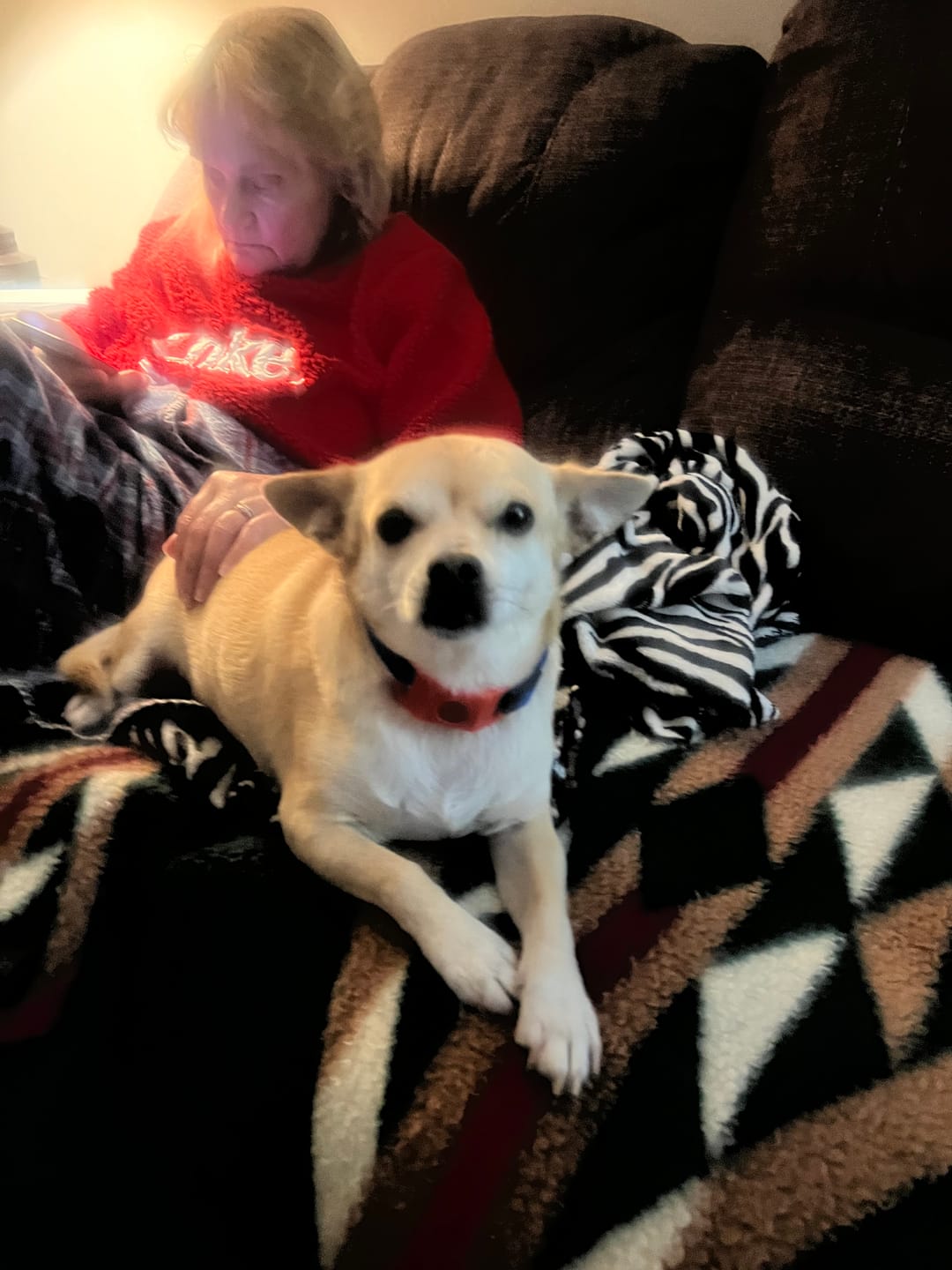 Customer photo review of FurLife Shipping Protection