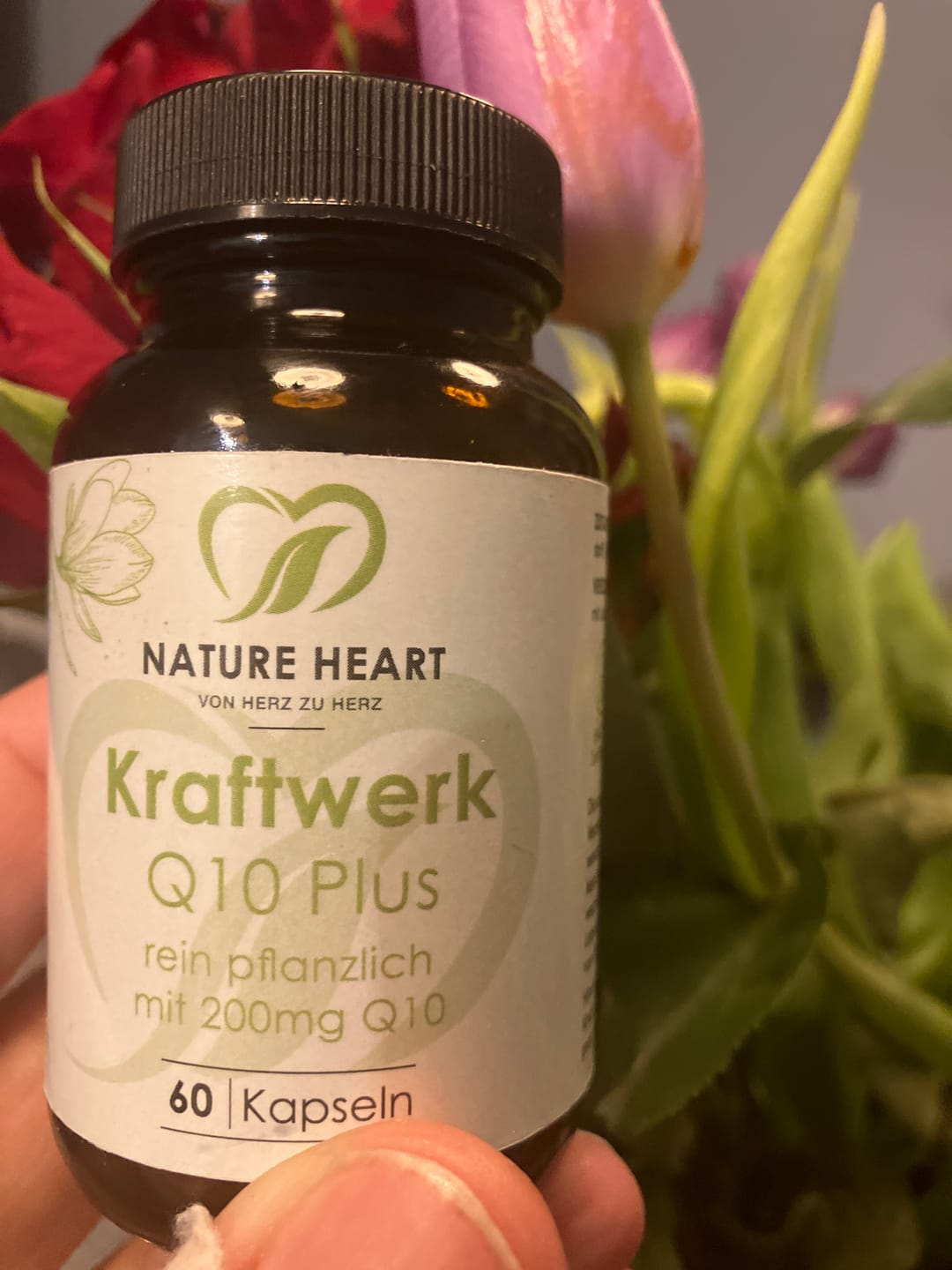 Customer photo review of Kraftwerk Q10 Plus
