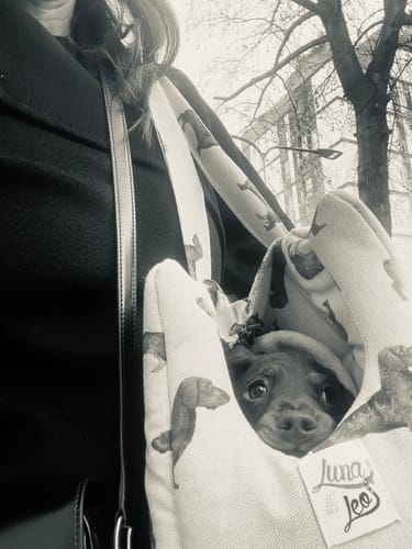 Customer photo review of Trasportino Cotone Panama Bassotto