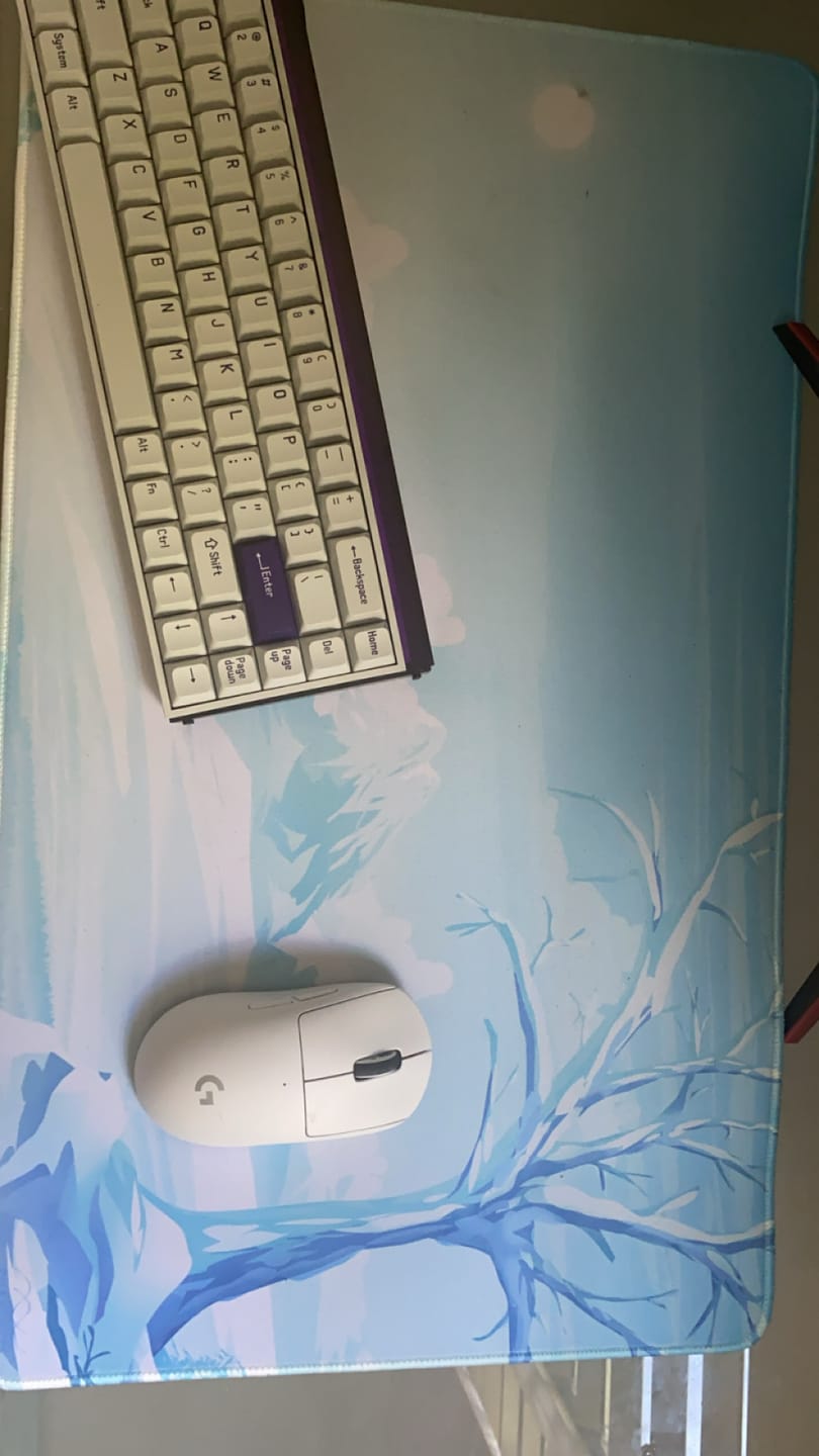 Customer photo review of MADE68 Pro