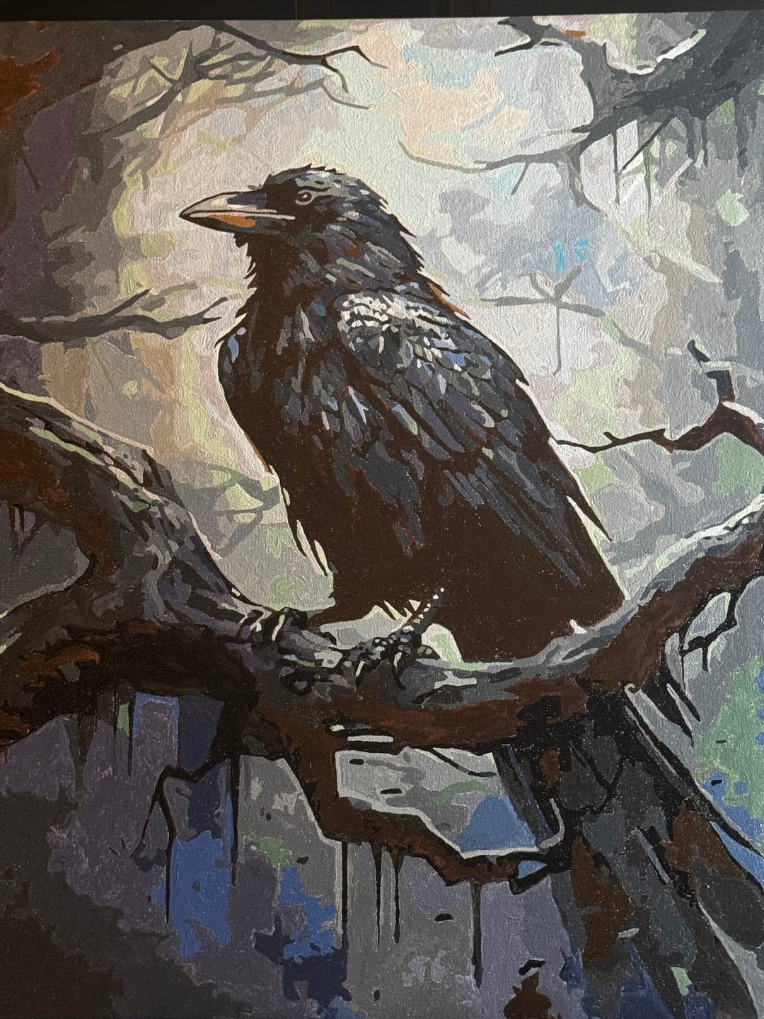 Customer photo review of Mysterious Raven