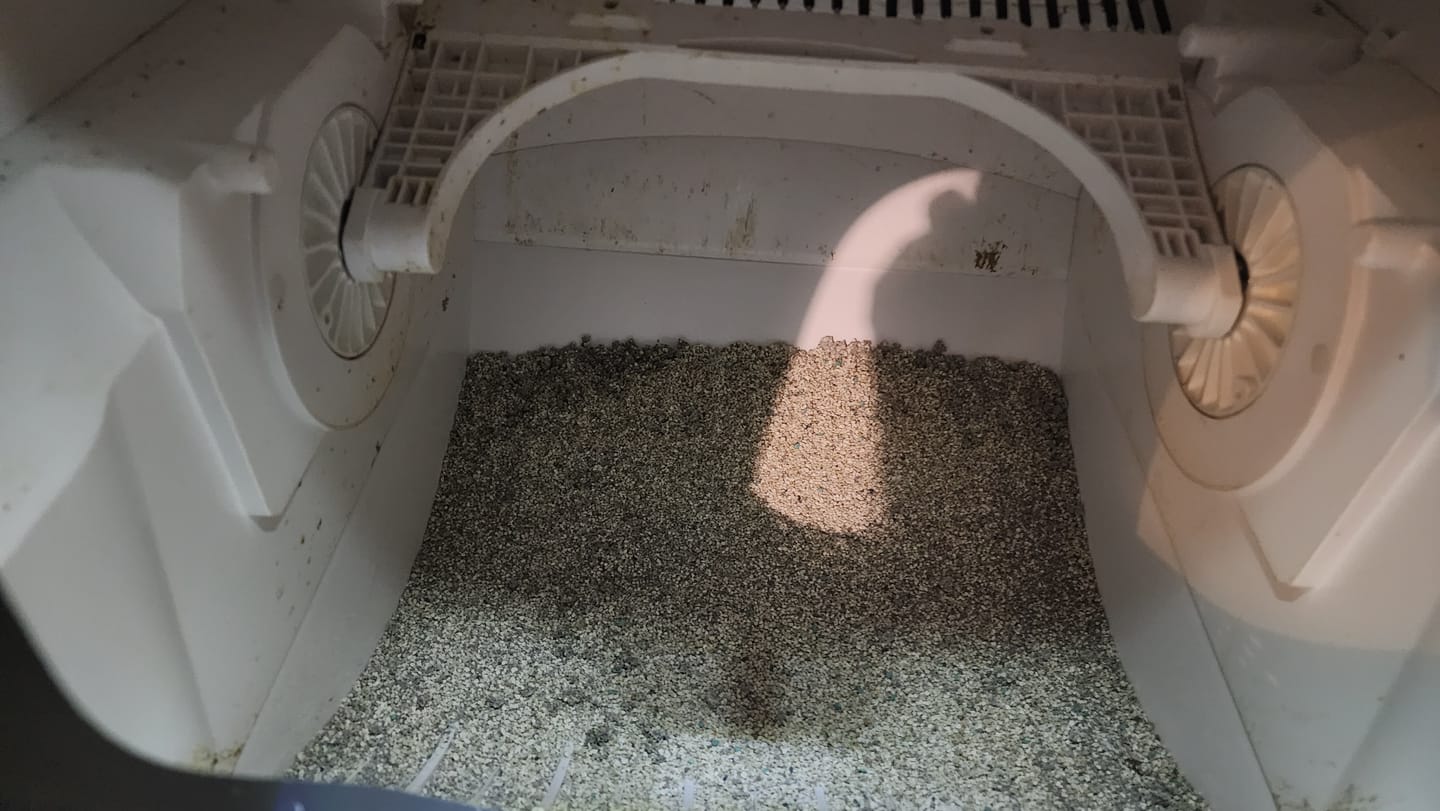 Customer photo review of LALAHOME 3-In-1 Premium Sodium-Based Bentonite Cat Litter