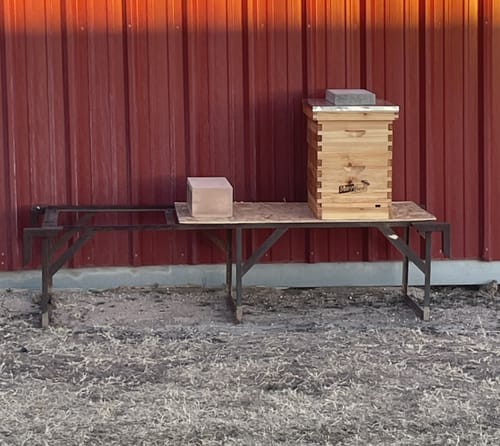 Customer photo review of MayBee Hives 10 Pack Deep Beehive Frames and Foundations,100% Beeswax Coated Food Grade Foundation Sheets