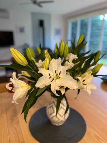 Customer photo review of White Oriental Lilies