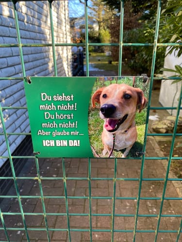 Customer photo review of Hunde-Türschild mit Foto & Wunschtext (UV- UND WETTERFEST) - Angebot beim Kauf eines 2. Schildes