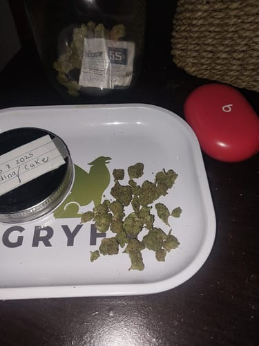 Customer photo review of Wedding Cake Greenhouse THCA Small Buds