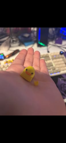 Customer photo review of Duckey Keycap